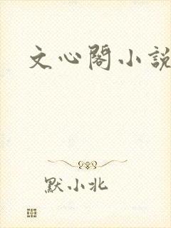 文心阁小说