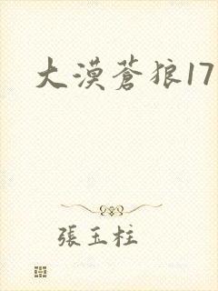 大漠苍狼17