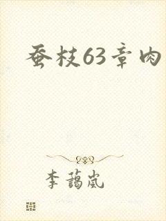 蚕枝63章肉