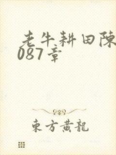 老牛耕田陈雪1087章