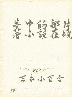 梦中的那片海原著小说在线阅读