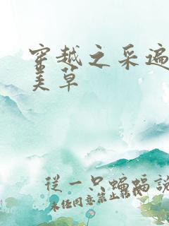 穿越之采遍古代美草