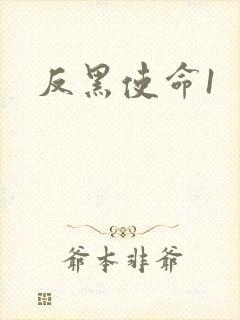 反黑使命1