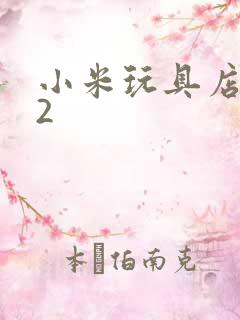 小米玩具店老板2