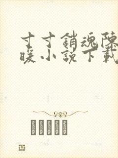 寸寸销魂陈聪王暖小说下载