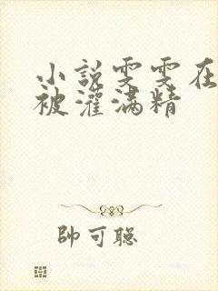 小说雯雯在工地被灌满精