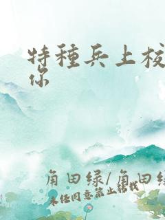 特种兵上校赖上你