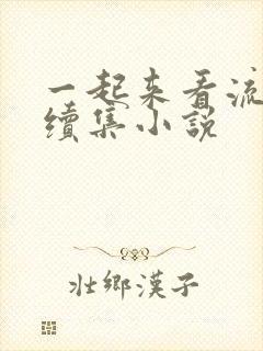 一起来看流星雨续集小说