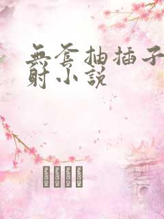 无套抽插子宫内射小说