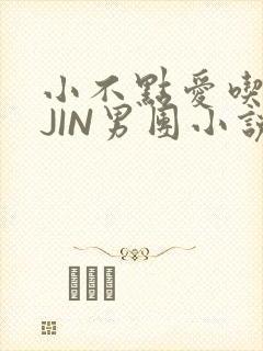 小不点爱吃肉混JIN男团小说