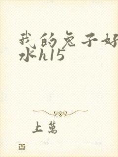 我的兔子好多软水h15