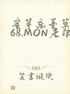 蜜芽忘忧草.768.MON老狼