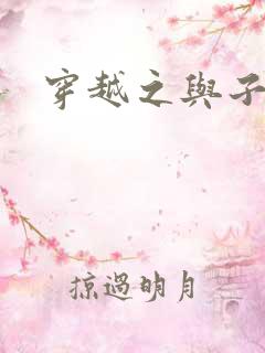 穿越之与子成说