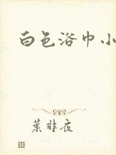 白色浴巾小说