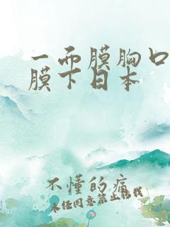 一面膜胸口一面膜下日本