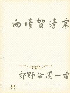 向晴贺清寒小说