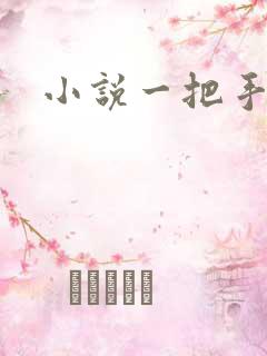 小说一把手