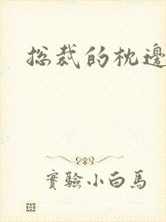 总裁的枕边甜妻