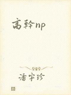 高干np