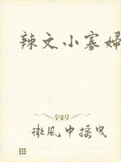 辣文小寡妇