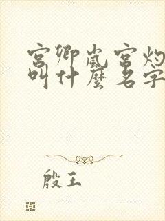 宫卿岚宫灼小说叫什么名字