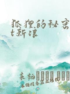 狐狸的秘密txt新浪