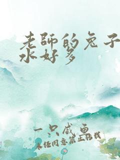 老师的兔子好软水好多