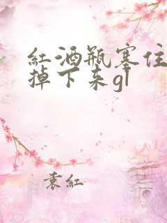 红酒瓶塞住不准掉下来gl