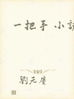 一把手 小说