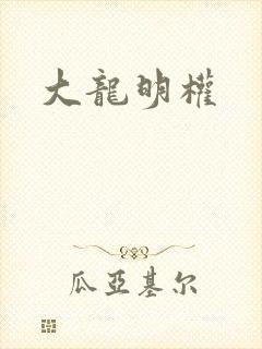 大龙明权