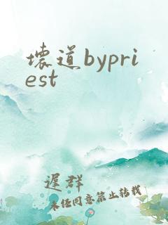 坏道bypriest