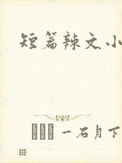 短篇辣文小说