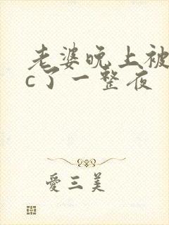 老婆晚上被躁狂c了一整夜