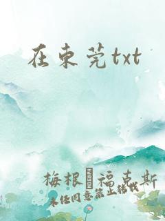 在东莞txt
