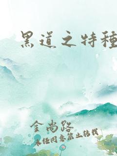 黑道之特种兵王