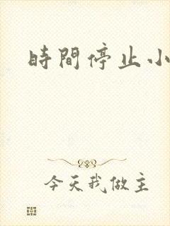 时间停止小说
