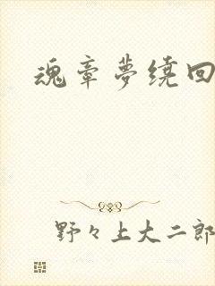 魂牵梦绕回大清