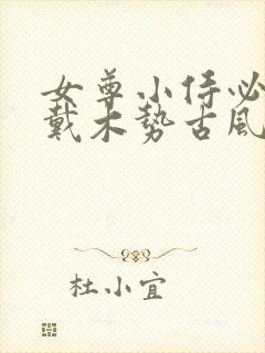 女尊小侍必须佩戴木势古风