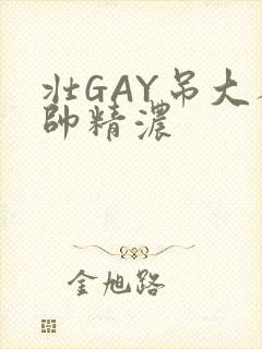 壮GAY吊大人帅精浓