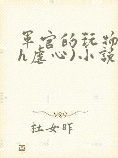 军官的玩物(高h虐心)小说