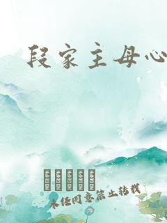 段家主母心太狠