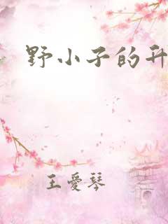 野小子的升官路