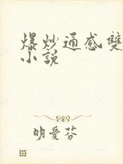 爆炒通感双胞胎小说