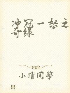 冲冠一怒之合租奇缘