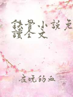 铁骨小说免费阅读全文