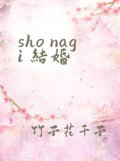 sho nagi 结婚