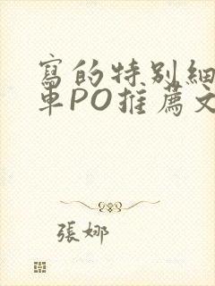 写的特别细的开车PO推荐文多人