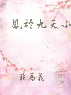 凤于九天小说