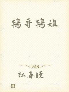 鸨哥鸨姐