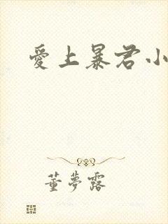 爱上暴君小甜心